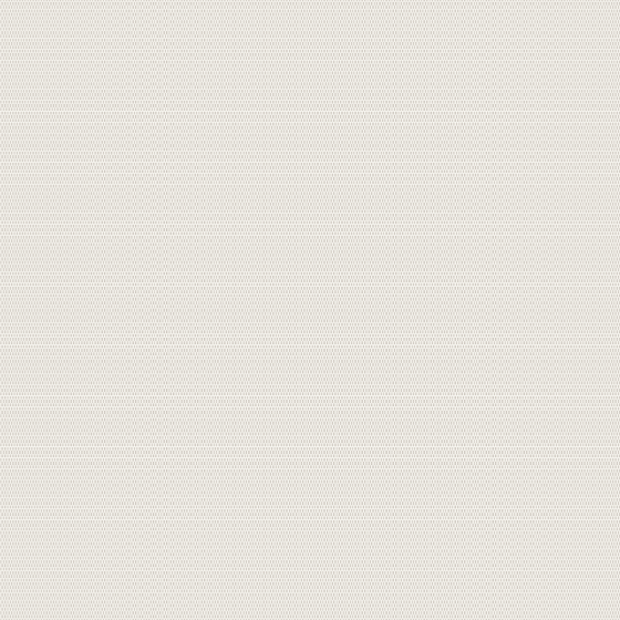 140.5-White_Eggshell.png