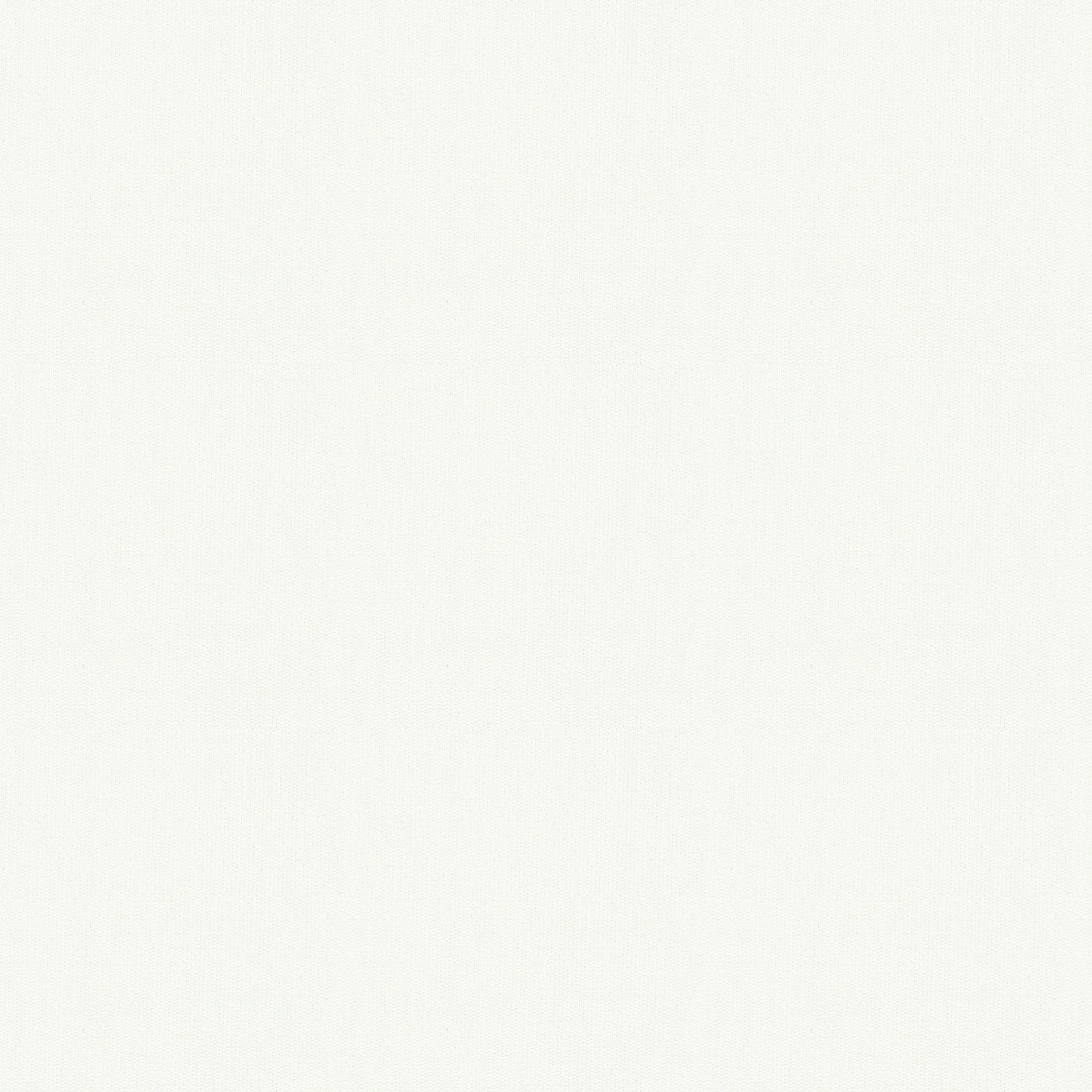 772_White.png
