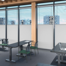 Bottom-Up + Skylight Shades